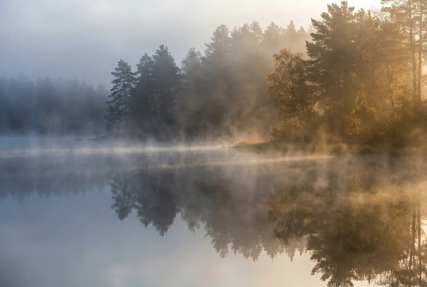 Morning fog gradually lifting off a still forest lake as sunlight breaks through, a metaphor for depression easing with treatment